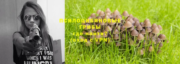 метадон Алексин